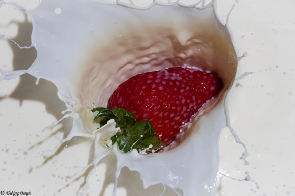 Strawberry in Milk - 1920c